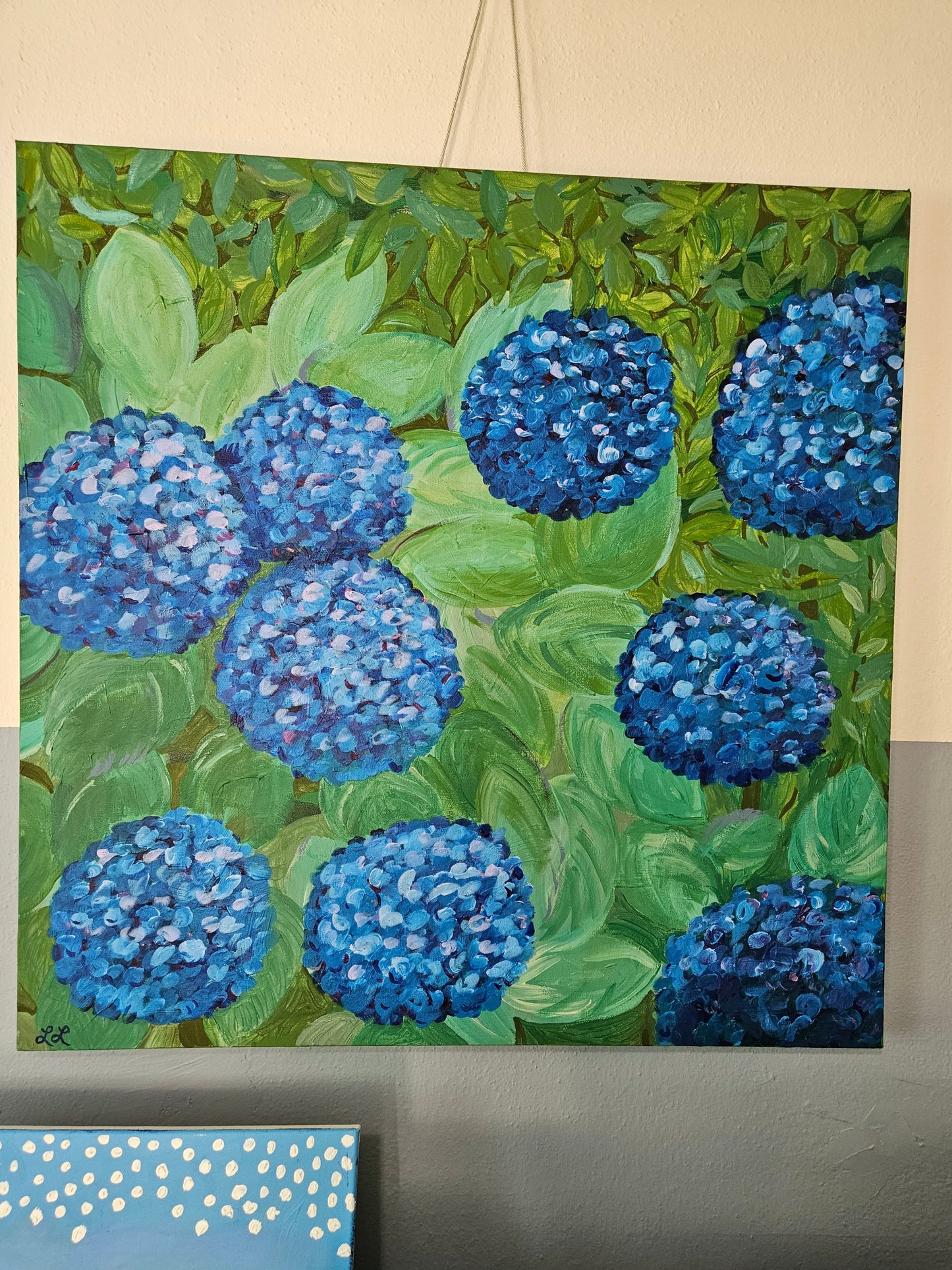 Hydrangea Summer Shade