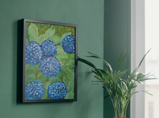 Hydrangea Summer Shade