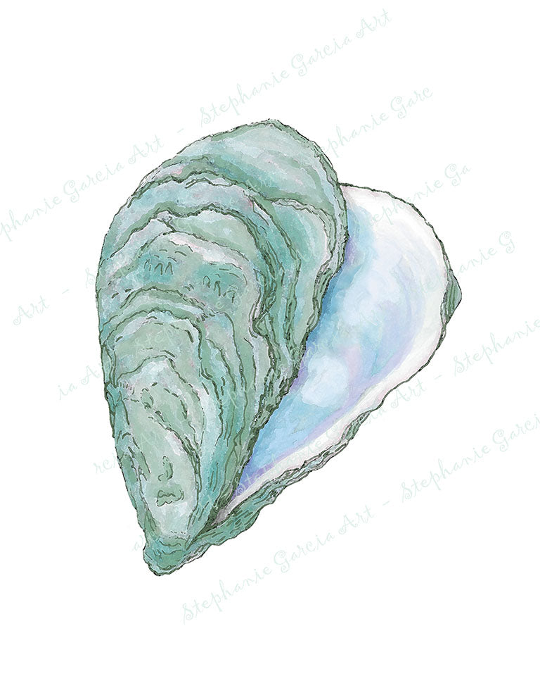 Blue Six - Oyster Shell Watercolor -Print by L. Leonard