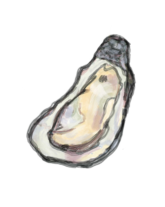 Oyster Shell Watercolor Print 1