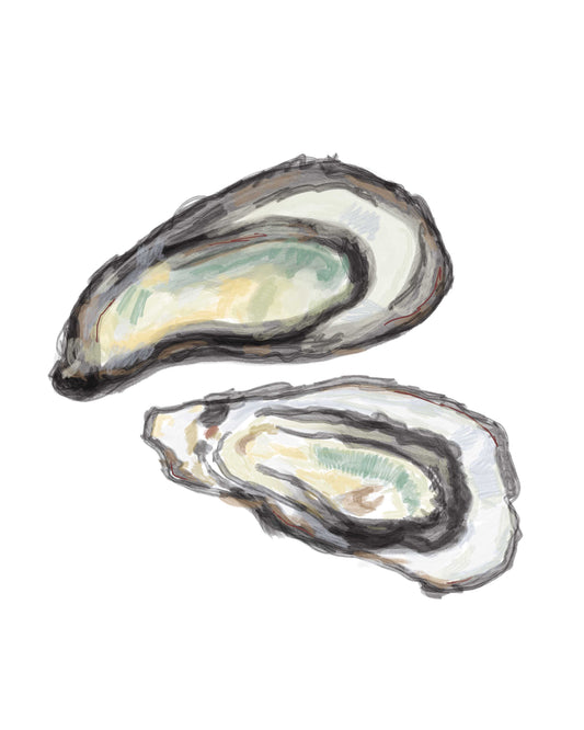 Oyster Shell Watercolor Print 2