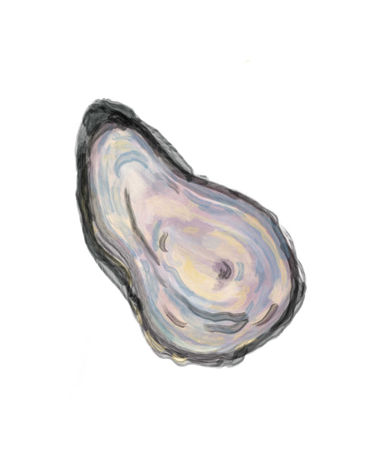 Oyster Shell Watercolor Print 3